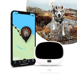 PET Finder 4G Weiß - PAJ GPS -GPS Tracker für Hunde LIVE OrtungWasserdicht nach IP67 | Blitzversand | Neu