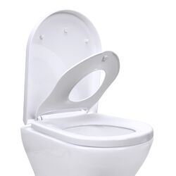 Fanmitrk Toilettendeckel mit Kindersitz, WC Sitz mit Absenkautomatik, D-Form