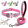 Personalisiert Katzenhalsband Hundehalsband mit Leine Set Reflektierend Gr.S M L