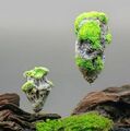 Aquarium Deko schwimmender fliegender Stein Felsen Floating Rock Pandora Avatar
