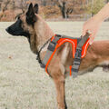 Hundegeschirr Anti-zug Sicherheitsgeschirr Atmungsaktiv Reflektierend Gepolstert
