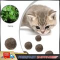 Katzen natürlich neuwertig essbar Ball Kätzchen interaktiv Biss Katzenminze spielen Spielzeug (01)