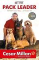 Be the Pack Leader: Use Cesar's Way to Transform Your Do... | Buch | Zustand gut