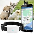 GPS-Tracker für Katzen Hunde Halsband Wasserdicht ohne ABO mit kostenloser App
