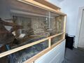 Terrarium selbstgebaut 1,50mx80x80 aus Holz und Glas mit Elektronik 