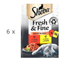 (EUR 15,53/kg) SHEBA Fresh & Fine in Sauce mit Rind und Huhn in Sauce: 36x 50 g
