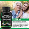 Zertifizierte Bio Seemoss Kapseln für Irish Sea Moos Blasenwurzel Klettenwurzel