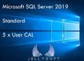 Microsoft SQL Server 2019 Standard USER CAL ✔ 5 Nutzer / User CAL ✔ TOP  ✔ 
