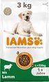 IAMS Hundefutter trocken Lamm für erwachsene Hunde ab 1 Jahr große Hunde 3kg NEU