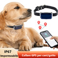 GPS Tracker FüR Hunde. Empfohlen Von Live-Ortung IP67 5.33x2.9cm DHL