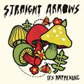 STRAIGHT ARROWS - IT'S HAPPENING  CD  11 TRACKS  ALTERNATIVE ROCK  NEU