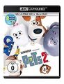 Pets 2 UHD [Blu-ray] von Renaud, Chris | DVD | Zustand sehr gut