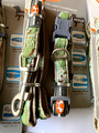 United Pets Hundehalsband Papure, grün Tarnlook M (25-37cm x 1,5mm) + LEINE 1,2m