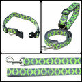 Hundeleinen Set Hundehalsband  + Leine Nylon Halsband reflektierend grün nanook