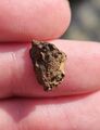 Wolf Creek Meteorit Western Australia Eisen, IIIAB 1947 gefunden 