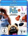 Pets  (+ Blu-ray) [Blu-ray 3D] von Renaud, Chris, Ch... | DVD | Zustand sehr gut