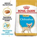 ROYAL CANIN Chihuahua Junior Hundefutter Trockenfutter 1,5kg
