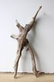 Treibholz Schwemmholz Driftwood 1  Wurzel Dekoration Terrarium 40 cm *354*