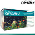 Söchting Oxydator A für Aquarien bis 800L Wasserpflege Fische Algen Sauerstoff