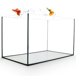 Aquarium Becken rechteckig standard Größen Glasbecken Glas Aquarienbecken