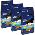 FELIX 3er Pack Trockenfutter Katzenfutter mit Lachs & Gemüse - 6 kg (3 x 2 kg)