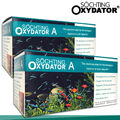 Söchting 2x Oxydator A für Aquarien bis je 800L Wasserpflege Fische Algen O2