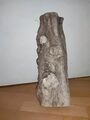 Schwemmholz Treibholz Driftwood 50cm Terrarium Skulptur Deko Floristik
