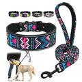 Nylon Hundehalsband und Lederleine Reflektierende Haustier Halsband Breit 5cm