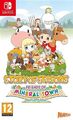 Story of Seasons - Friends of Mineral Town gebrauchtes Nintendo Switch-Spiel