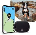 PAJ GPS PET Finder 4G GPS Tracker für Hunde LIVE Ortung  Sicherheit für Hunde