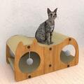 Katzenkratzer Lounge Möbelschutz interaktiver Katzenkratztunnel für