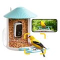 NETVUE Birdfy AI Smart Bird Feeder mit Kamera Auto Capture Each Bird Come(Blau)