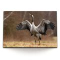 120x80cm Wandbild auf Leinwand Tierfotografie Kranich Vogel Asien Natur