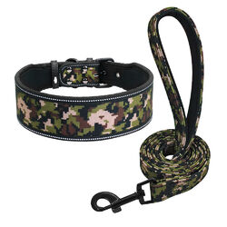 Hunde Halsband und Leine set Reflektierendes Nylon Hundehalsband 4/5cm Breite 