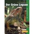 Der Grüne Leguan im Terrarium - Gunther Köhler, Kartoniert (TB)