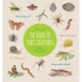 The Book of Tiny Creatures - Nathalie Tordjman, Gebunden