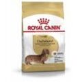 Royal Canin Hundefutter Dachshund Adult 1,5 kg