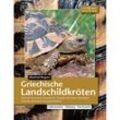 Terrarien-Bibliothek / Griechische Landschildkröten - Manfred Rogner, Kartoniert (TB)