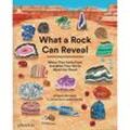 What a Rock Can Reveal - Maya Wei-Haas, Sonia Pulido, Gebunden