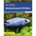 Malawiseecichliden - Peter Bredell, Gebunden