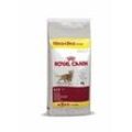 Royal Canin Katzenfutter Fit 32 - 10 kg