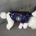Hunde-Katzen-Kleidung, Jacke, Mantel mit Sicherheitsgeschirr, geeignet für kleine Hunde, Chihuahua-Kleidung, Blau xl