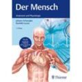 Der Mensch - Anatomie und Physiologie - Johann S. Schwegler, Runhild Lucius, Gebunden