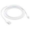 Apple Lightning auf USB Kabel 2m (MD819ZM/A)