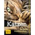 Katzen - Das große Praxishandbuch - Gerd Ludwig, Gebunden