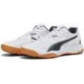 Sneaker PUMA "Solarflash II Hallen-Sportschuhe Herren" Gr. 46, weiß (white shadow gray gum beige) Schuhe Schnürhalbschuhe