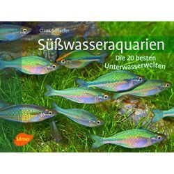 Süßwasseraquarien - Claus Schaefer, Gebunden