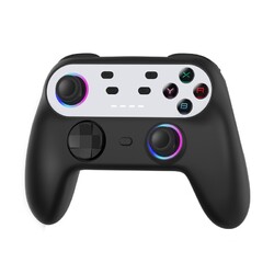 Wireless Gaming Controller für Nintendo Switch mit anpassbaren Einstellungen