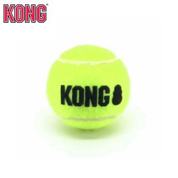 KONG AirDog Squeakair Ball - Apportierspielzeug Tennisball f. Hund mit Quitscher