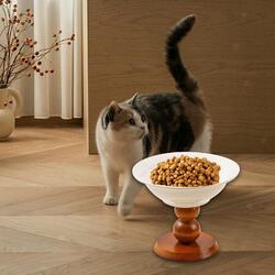 Erhöhter Katzennapf, kippsicherer Futterbehälter für Kätzchen, Hauskatzen,